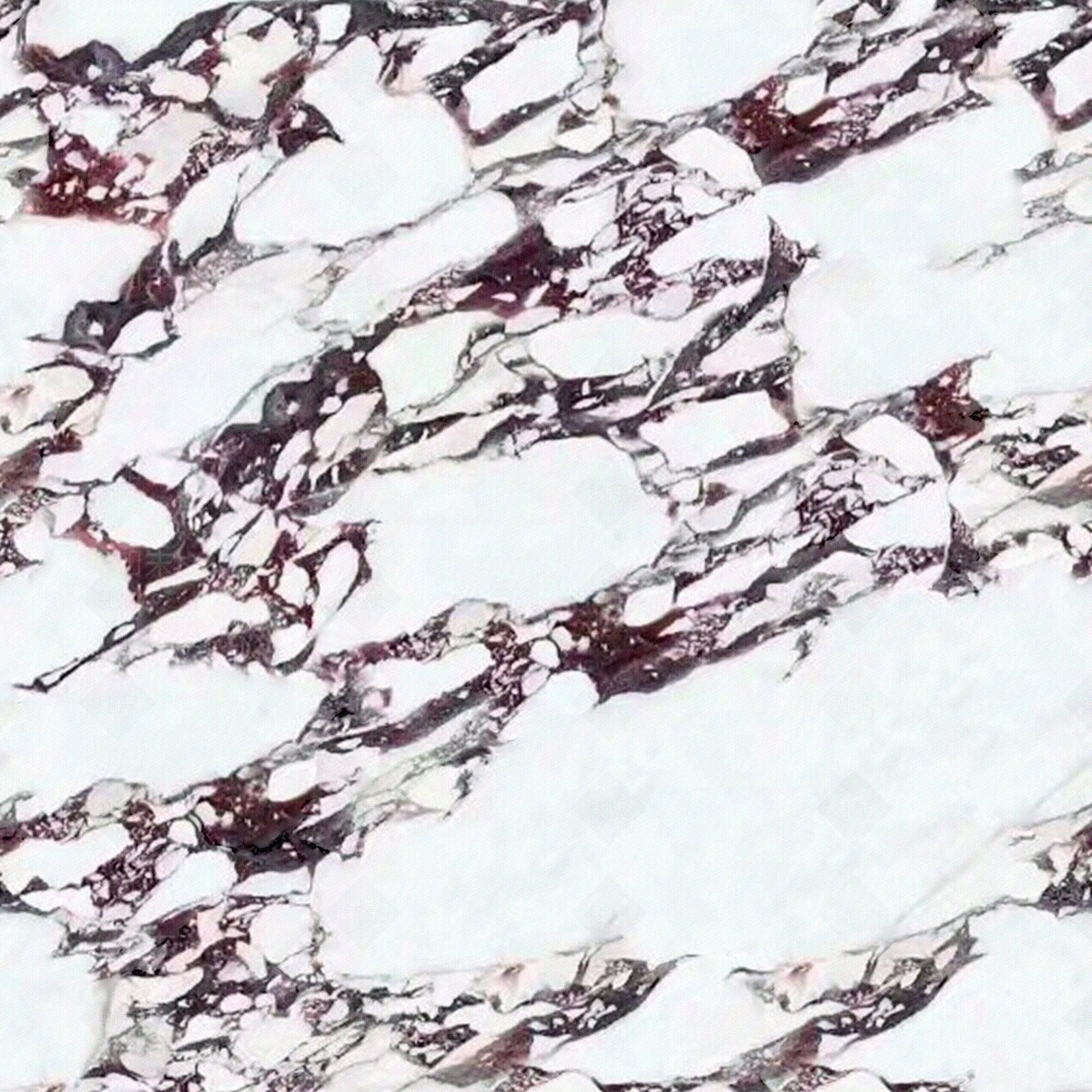 Viola Calacatta marble collection